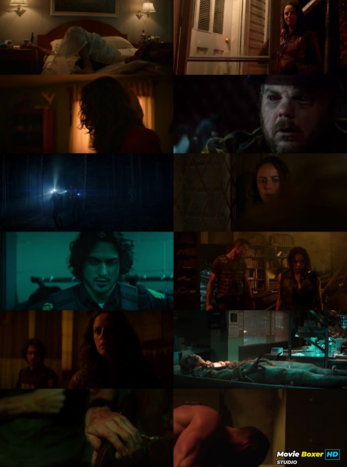 Screenshots Grid