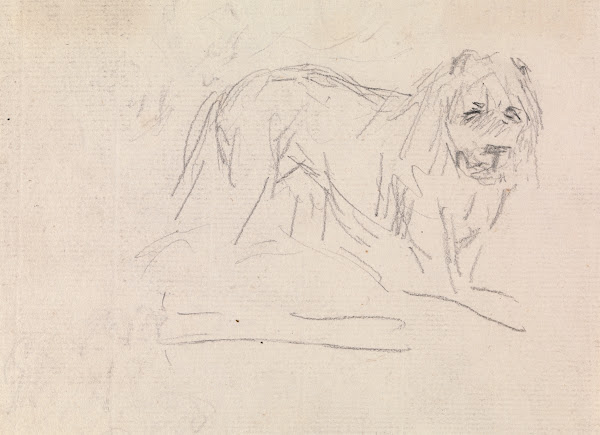 Study of a Lion