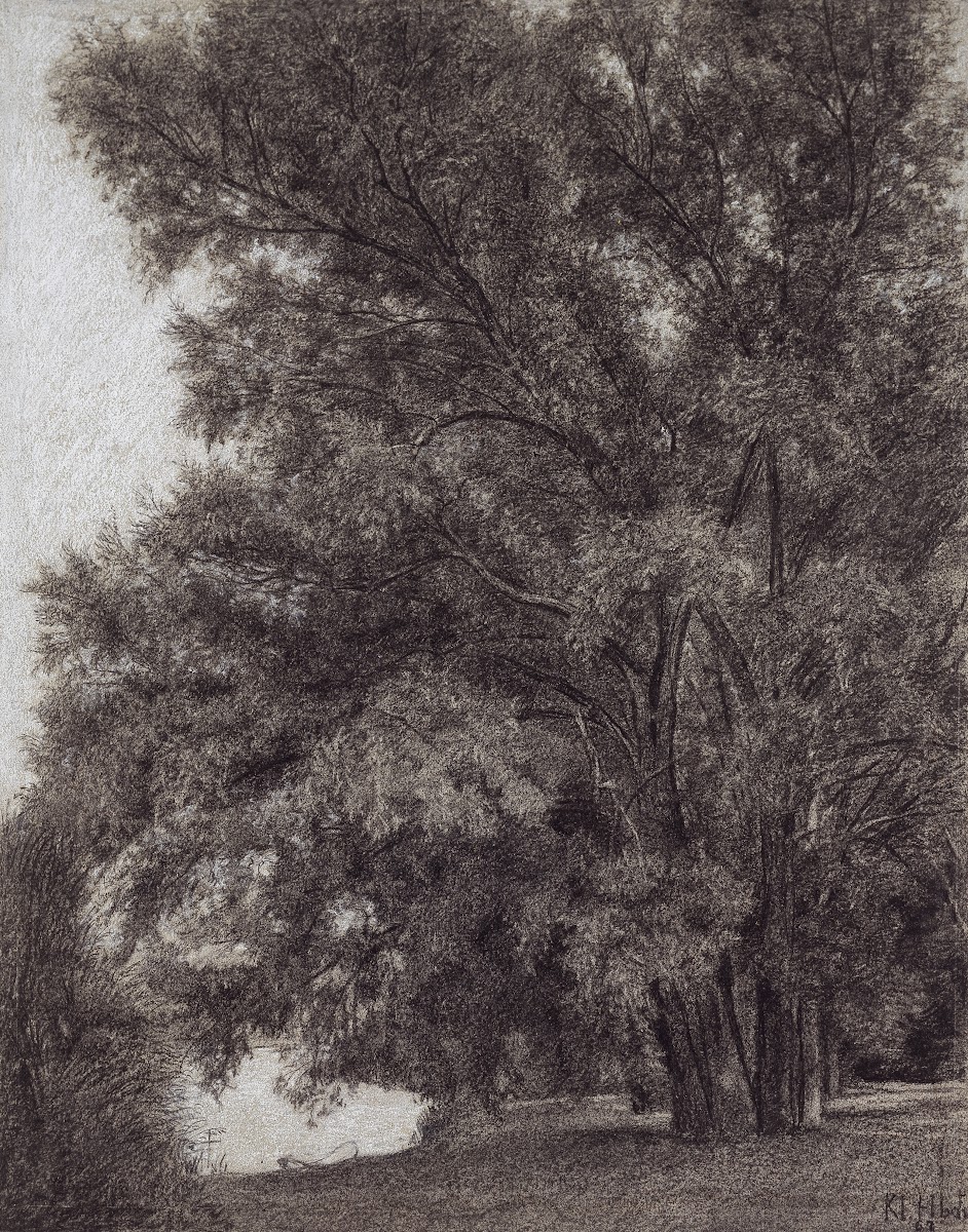 Baumgruppe im Schlosspark Kleinheubach 1867