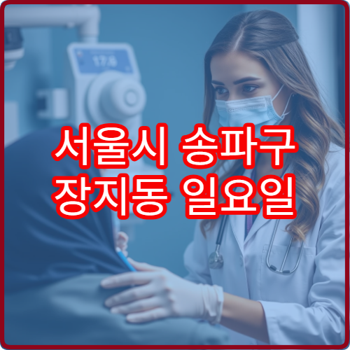 서울시 송파구 장지동 일요일 이비인후과 진료 병원 귀 통증