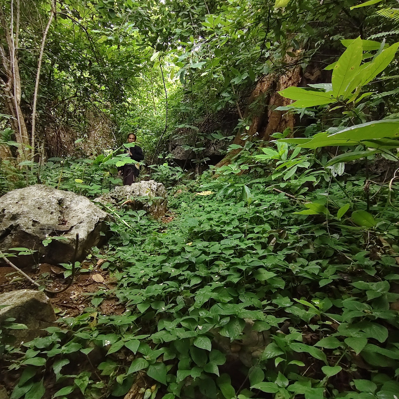 Mekong Valley Bike Ride — photo 1