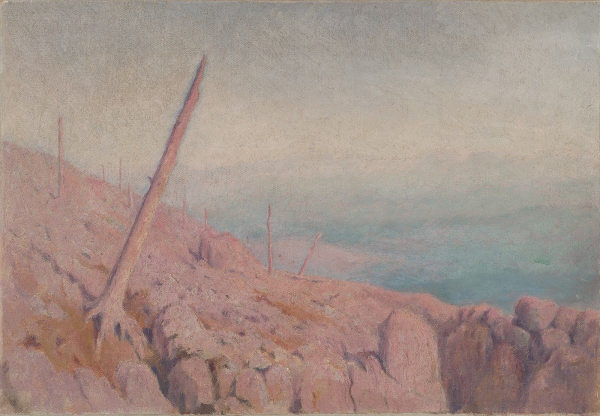 Windthrow 19011925