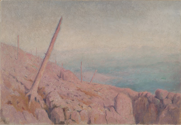 Windthrow 19011925