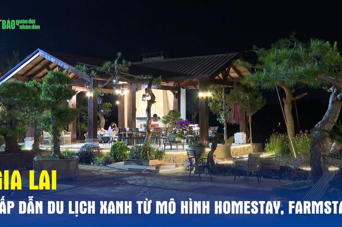 Gia Lai: Hấp dẫn du lịch xanh từ mô hình homestay, farmstay - Báo Quân Đội Nhân Dân
