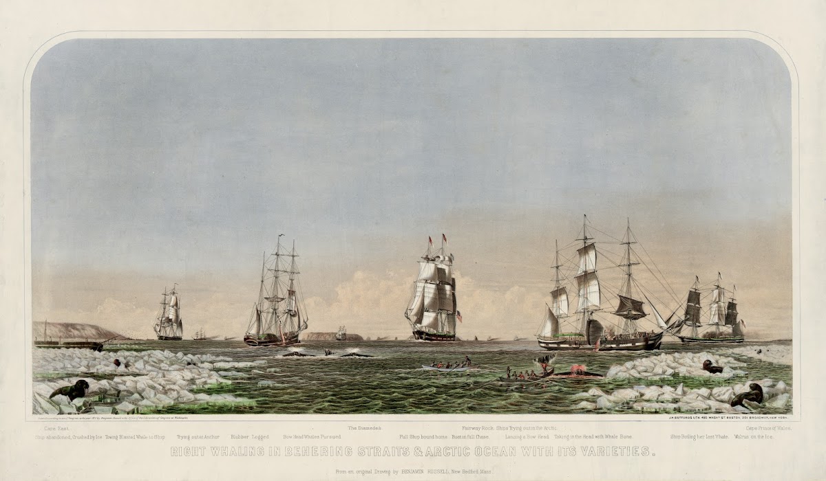 Right whaling in Behering Straits  Arctic Ocean with its varieties