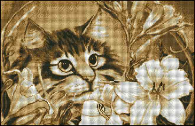 CMP 280230 Amateur Flower Grower