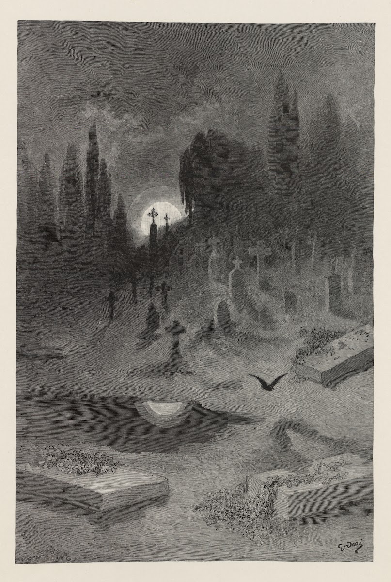 The Raven Pl15 1884