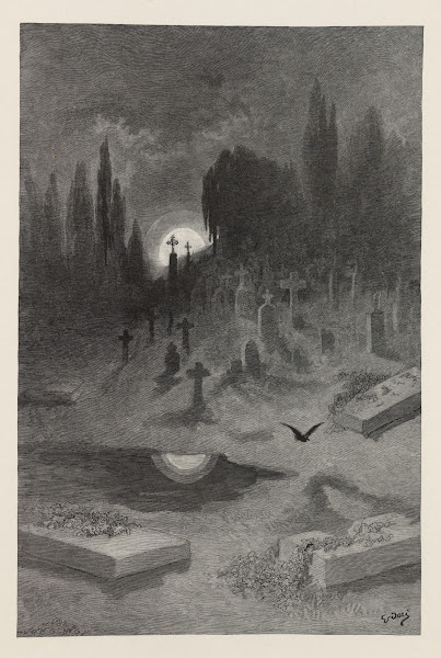The Raven Pl15 1884