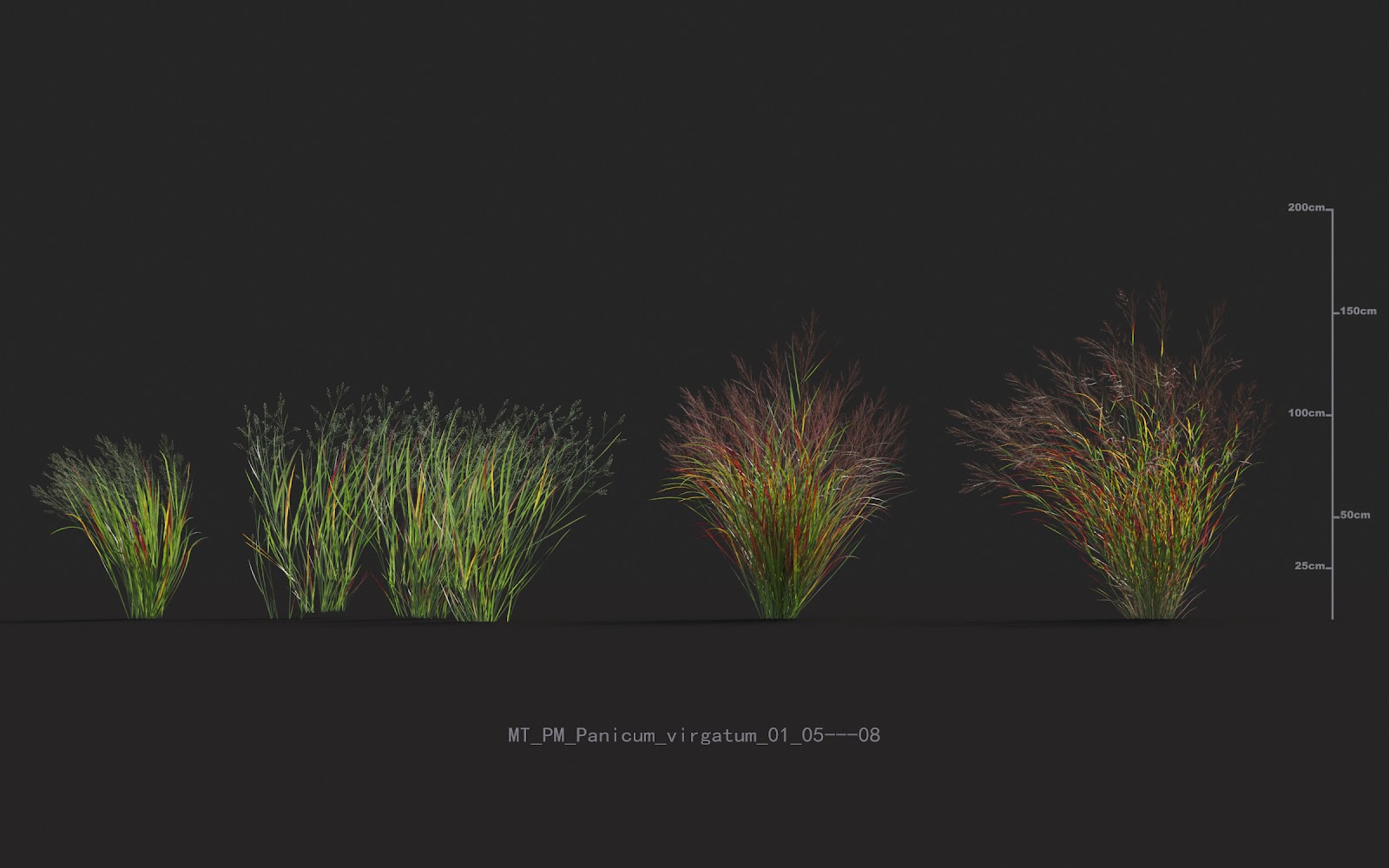 Maxtree - Plant Models Vol.20