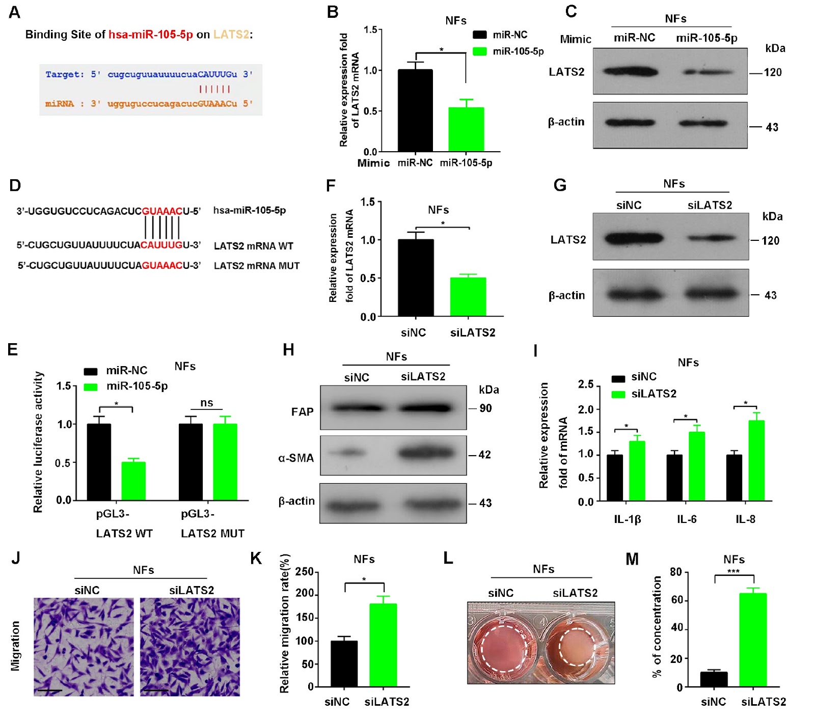 Breast cancer-derived exosomal miR-105-5p facilitates the transformation of NFs into CAFs through LATS2-NF-κB signaling