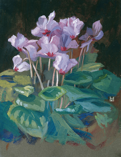 Cyclamen