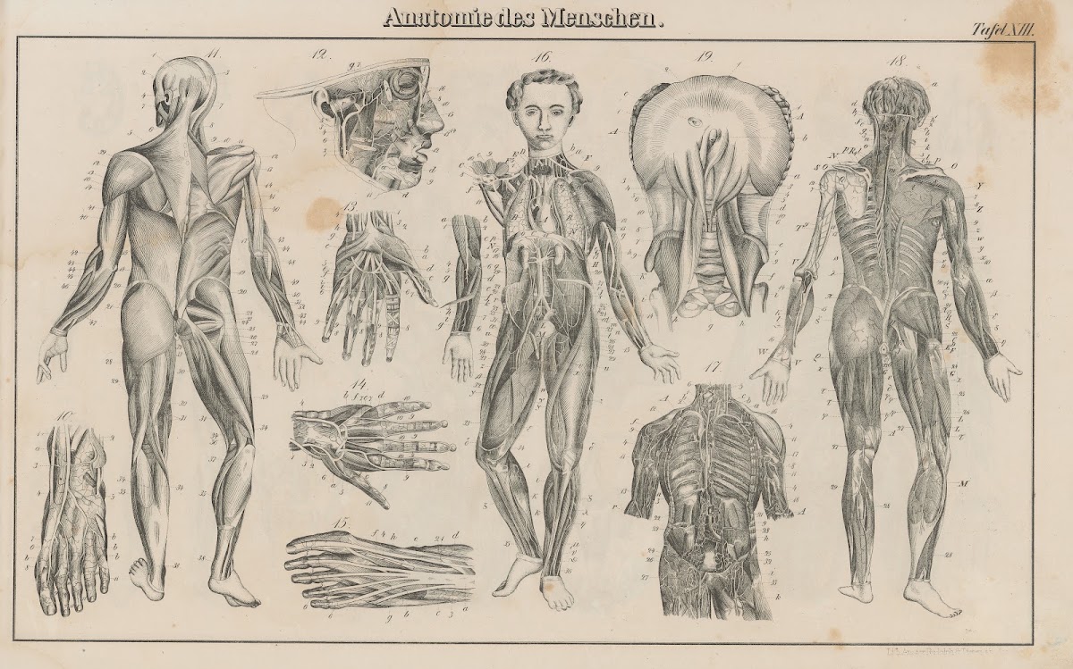 Atlas der Abbildungen Pierers Universal Lexikon Pl22 1848