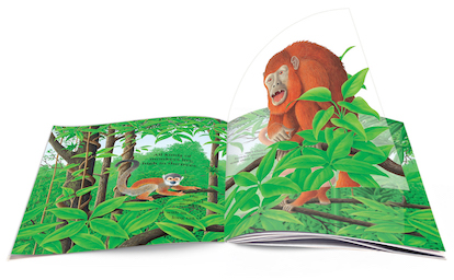 The Jungle PB - thumbnail 2