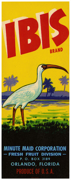 Ibis Brand Fruit Label 1930 1950