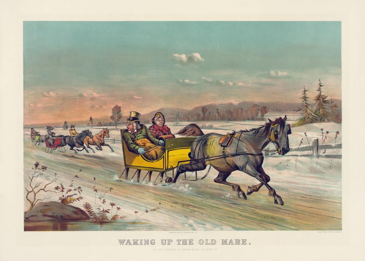 Waking up the old mare 1881