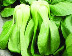 Cải thìa rửa sạch. Sau đó bắc nồi nước lên bếp, chờ nước sôi thì cho cải vào luộc chín.
