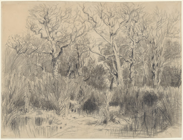 Trees in a Thicket 1845