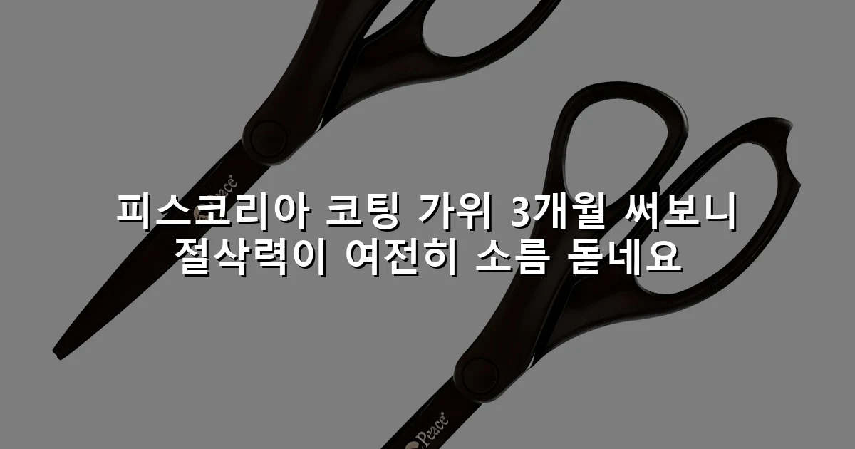 피스코리아 코팅 가위 3개월 써보니 절삭력이 여전히 소름 돋네요