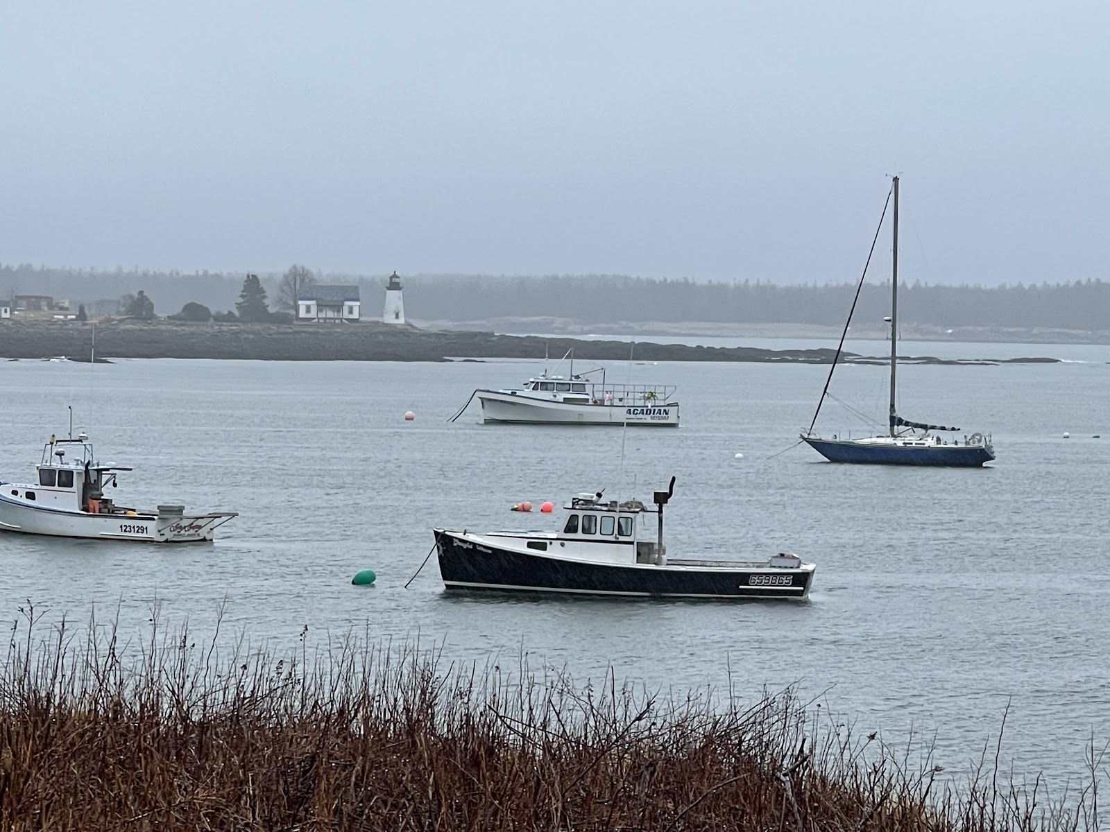 Winter Harbor foggy day