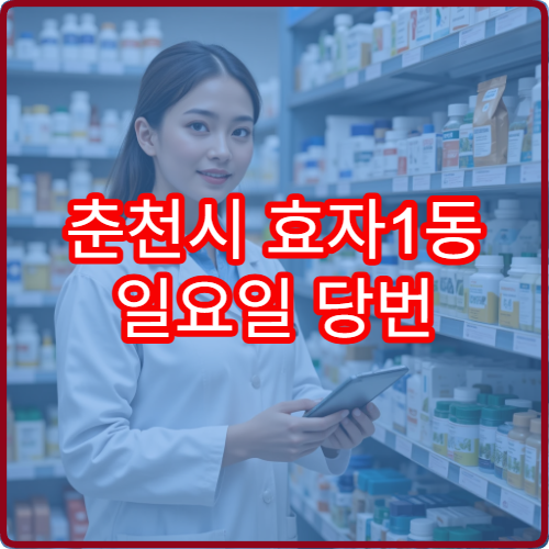 춘천시 효자1동 일요일 당번 약국 찾기 쉬운 안내