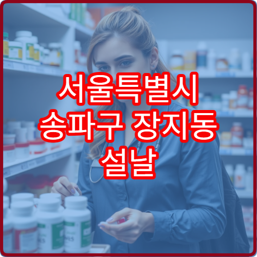 서울특별시 송파구 장지동 설날 명절 연휴 휴일 운영 약국 위치 확인