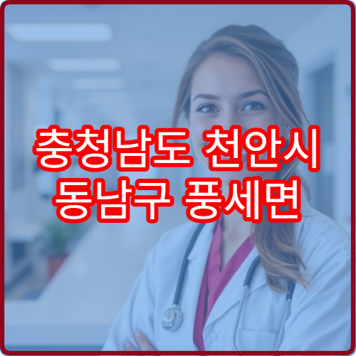 충청남도 천안시 동남구 풍세면 설날 연휴 문 여는 약국 위치 안내