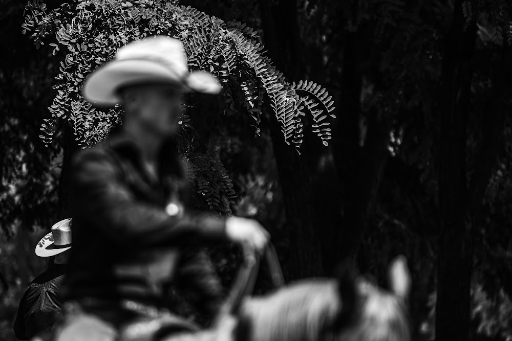 27072025 IMG 5926 2