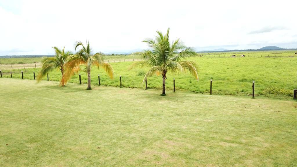 Fazenda em Santa Terezinha-MT 5