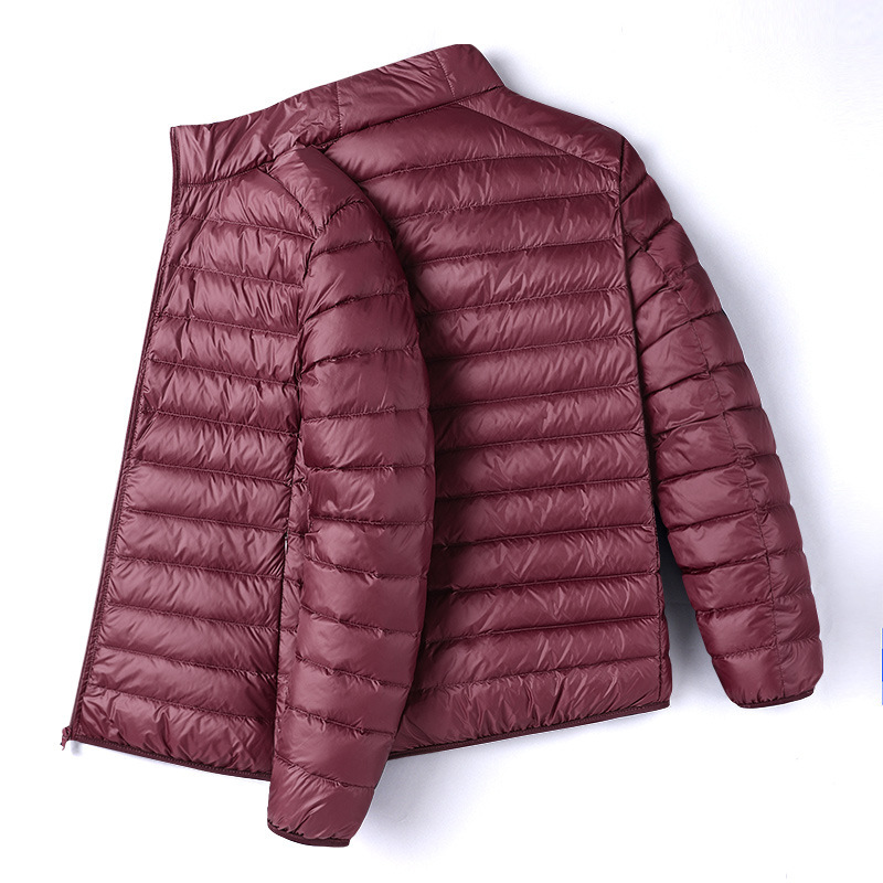Men's padded jacket, lightweight, short, lined