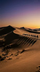Vintage Style Desert Dawn with Camel Caravan Silhouette