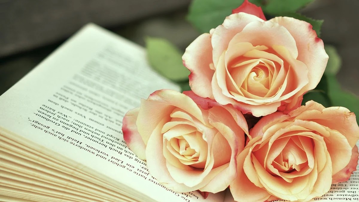 책 요약 앱 비교와 활용법: 독서 시간을 줄이고 핵심만 챙기는 방법