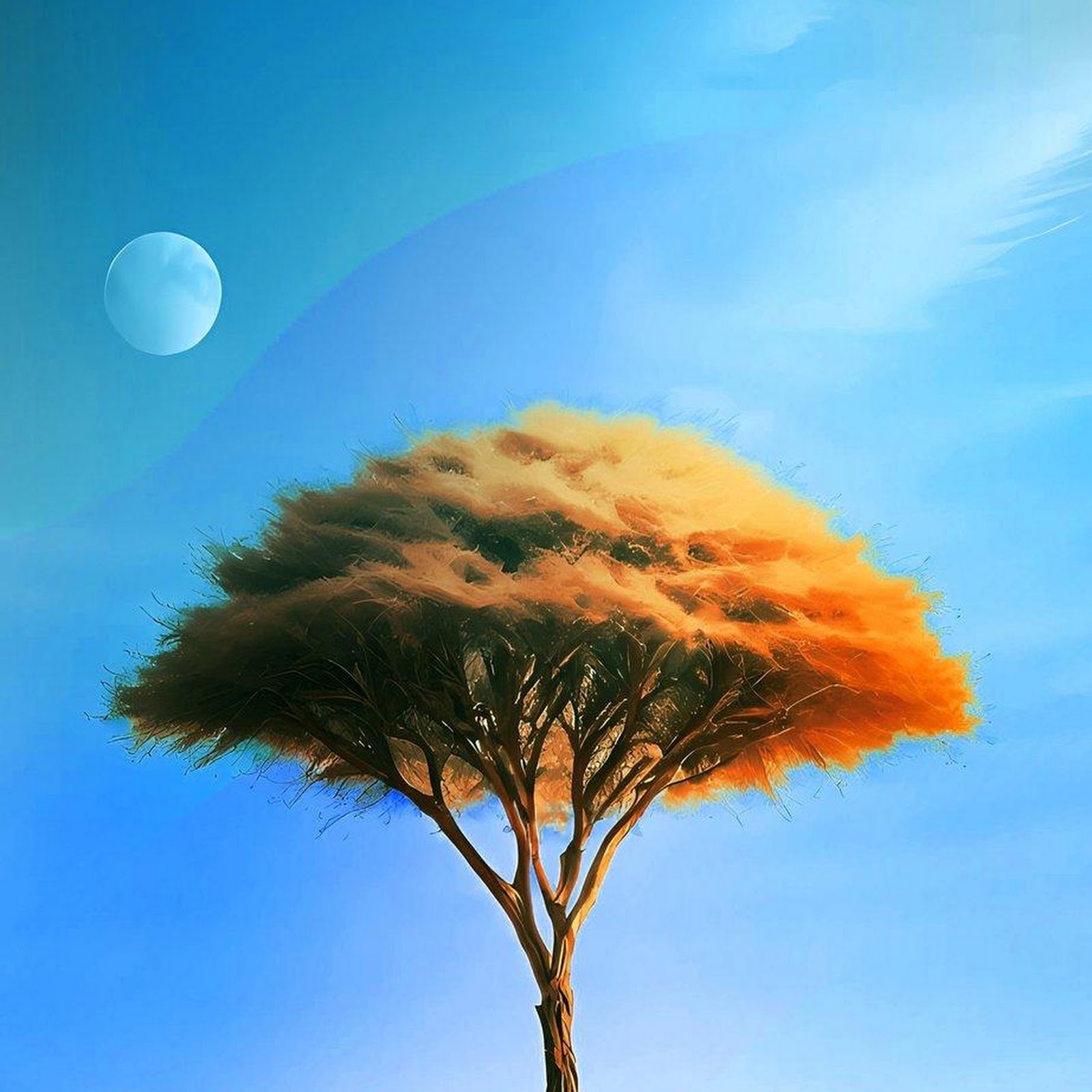 Download Lone Tree In Desert Dunes iPhone