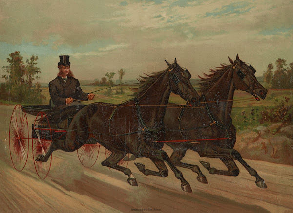 Gentleman in carriage facing right 1883