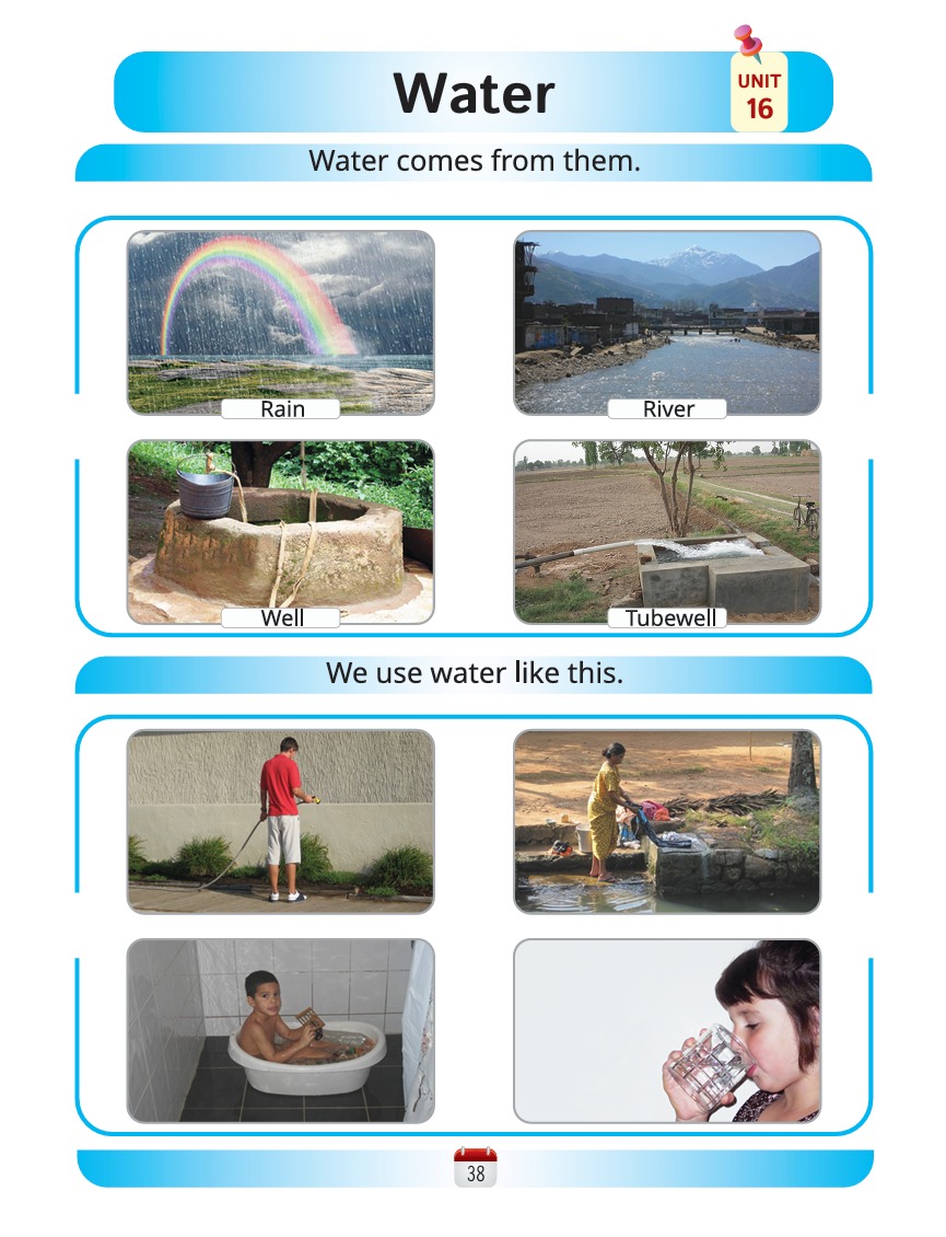 Science Book B - Activity Book