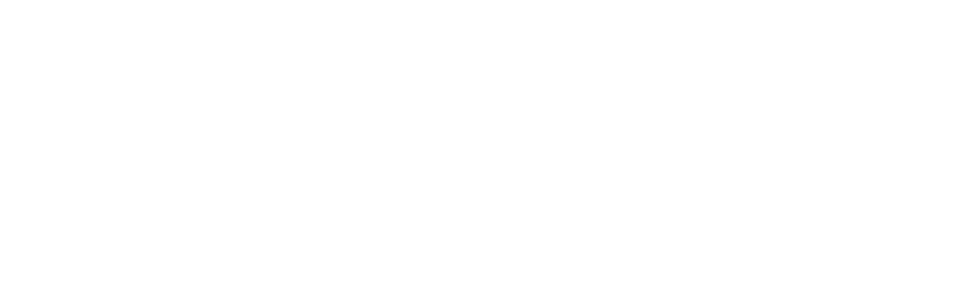 Caleo Model