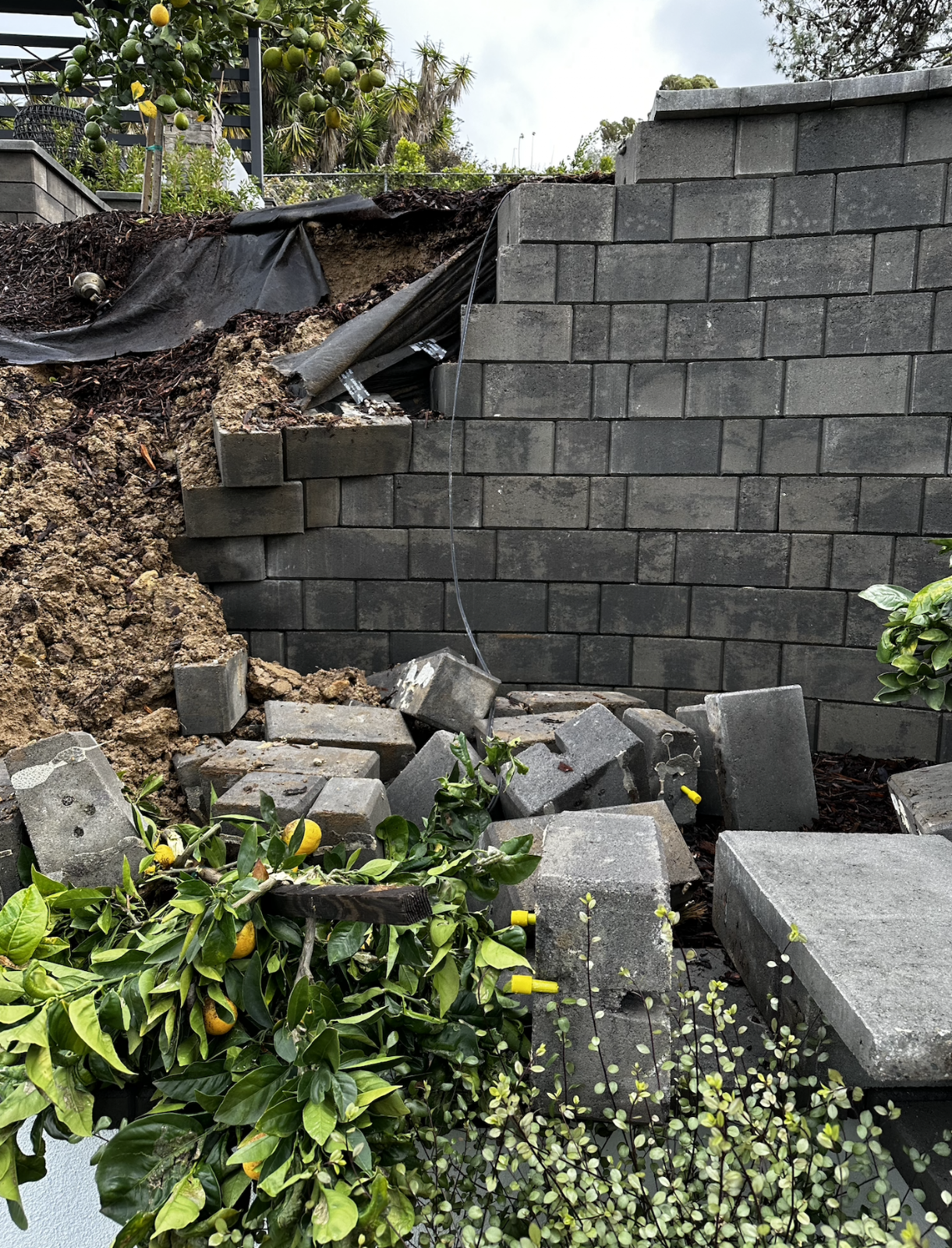 Front entry damage — ongoing 2022-2023