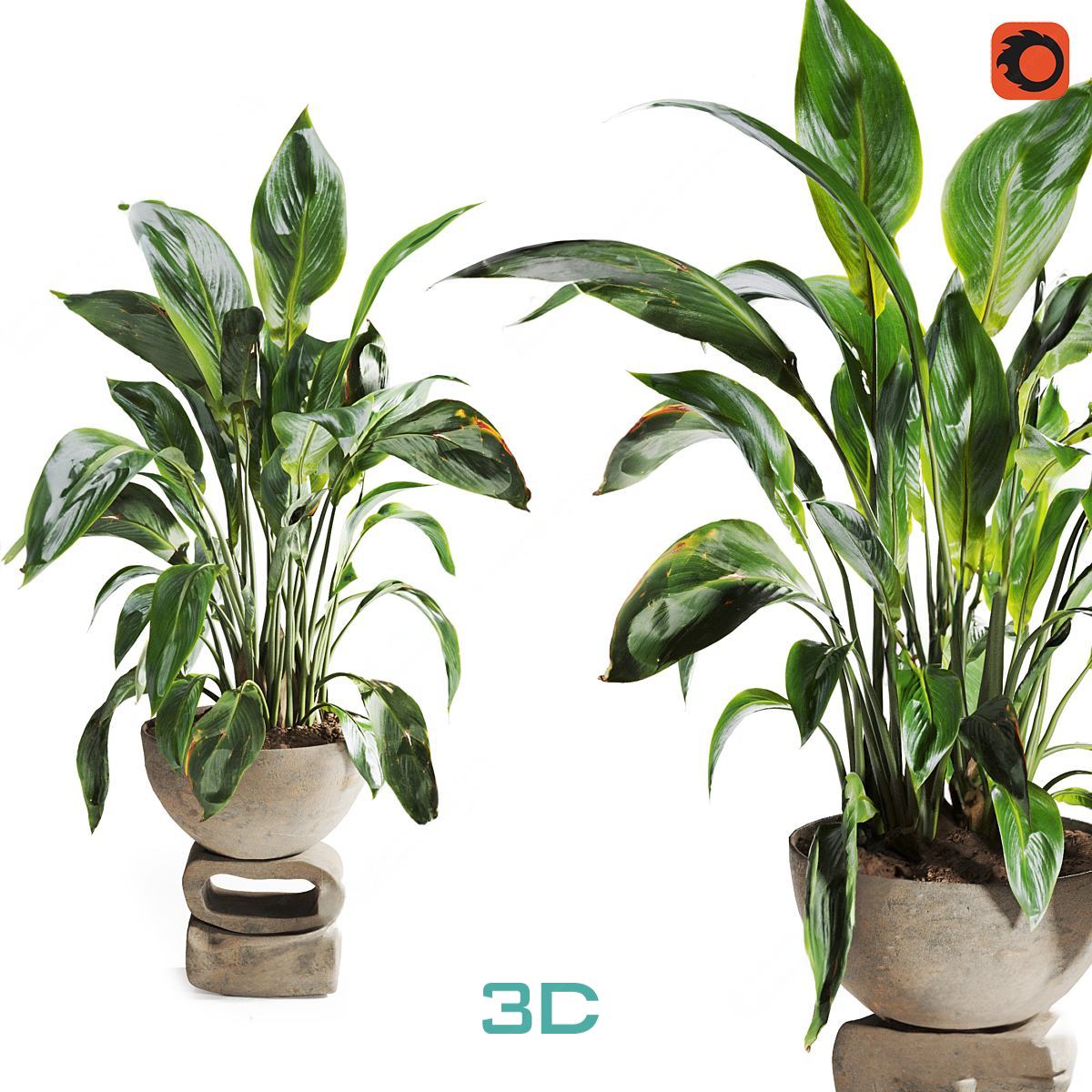 978.Sell Album Indoor Plant PRO Vol 01