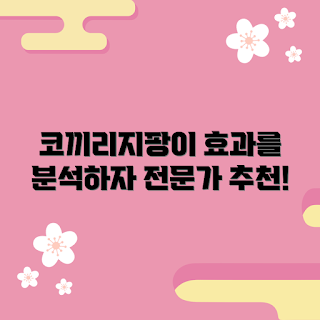 코끼리지팡이 추천, 코끼리지팡이 효과, 코끼리지팡이 사용법, 왜 코끼리지팡이를 선택해야 할까, 코끼리지팡이 장점