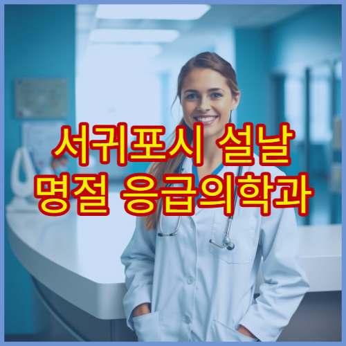 서귀포시 설날 명절 응급의학과 진료 병원 안내