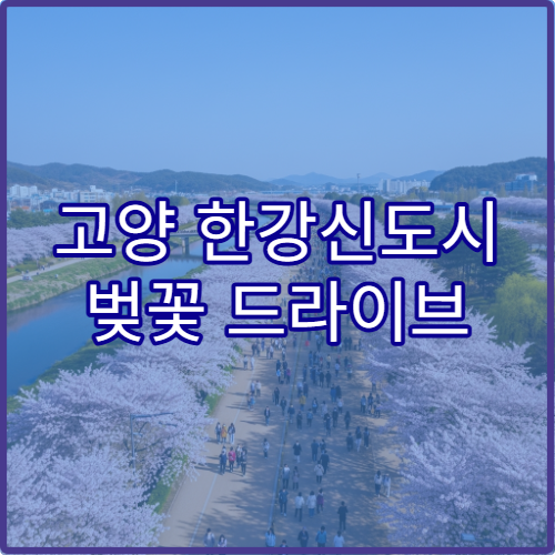 고양 한강신도시 벚꽃 드라이브 초보 커플 루트 정리