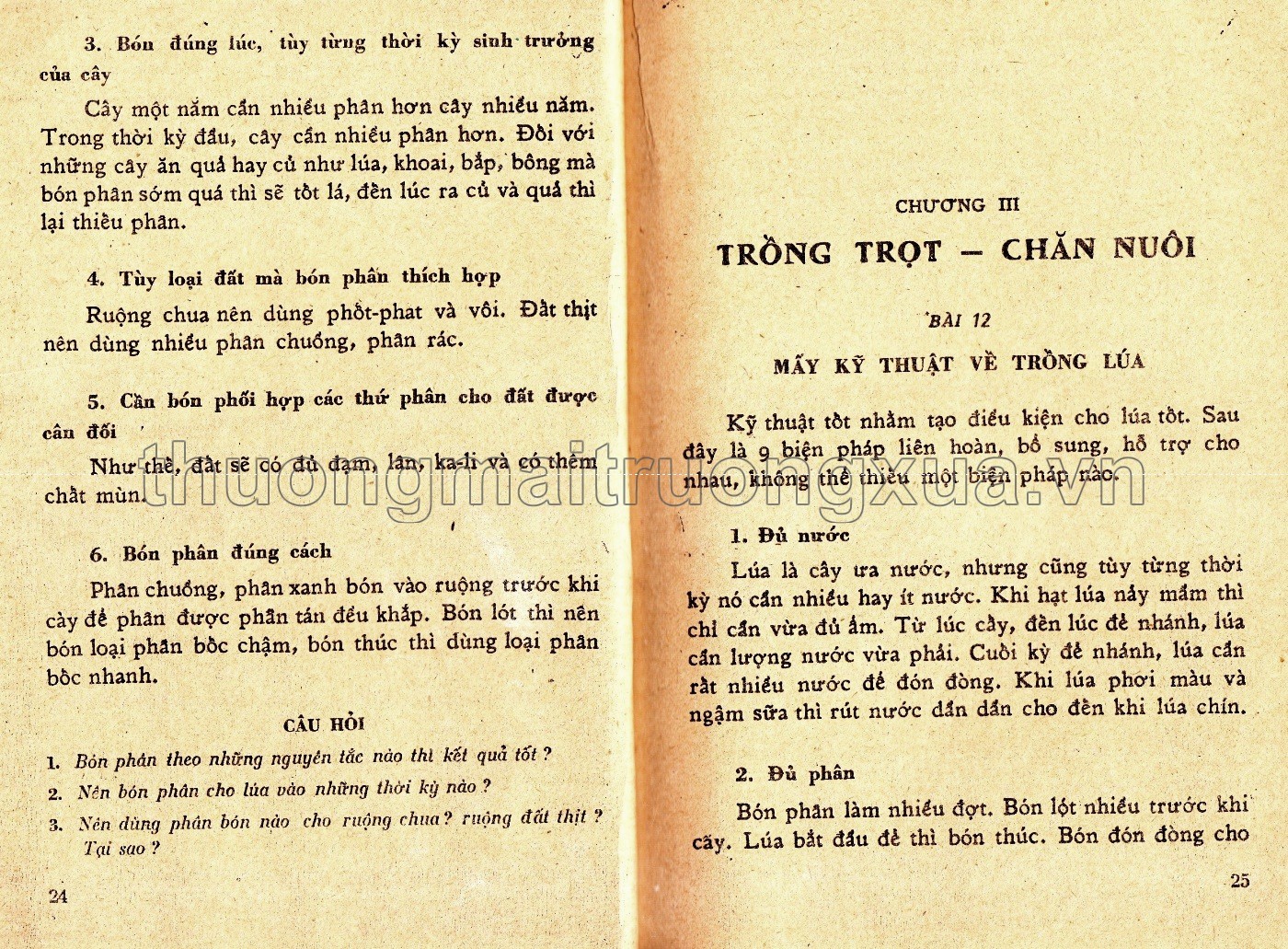 Khoa học thường thức lớp 5 phổ thông - Trang 111