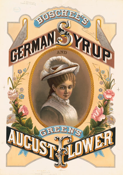 Boschees German syrup and Greens August flowers 1878
