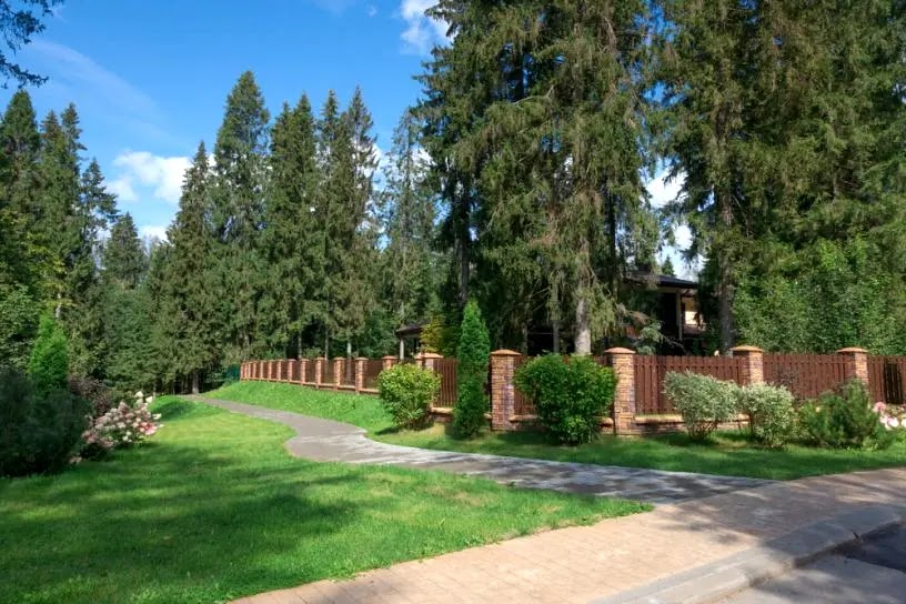 Участок в вековом лесу Emerald Village