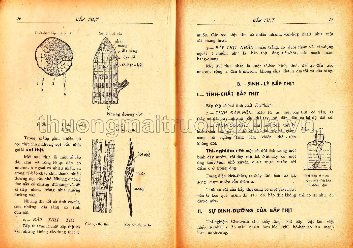 Vạn vật học lớp đệ tứ (1967) - Trang 14