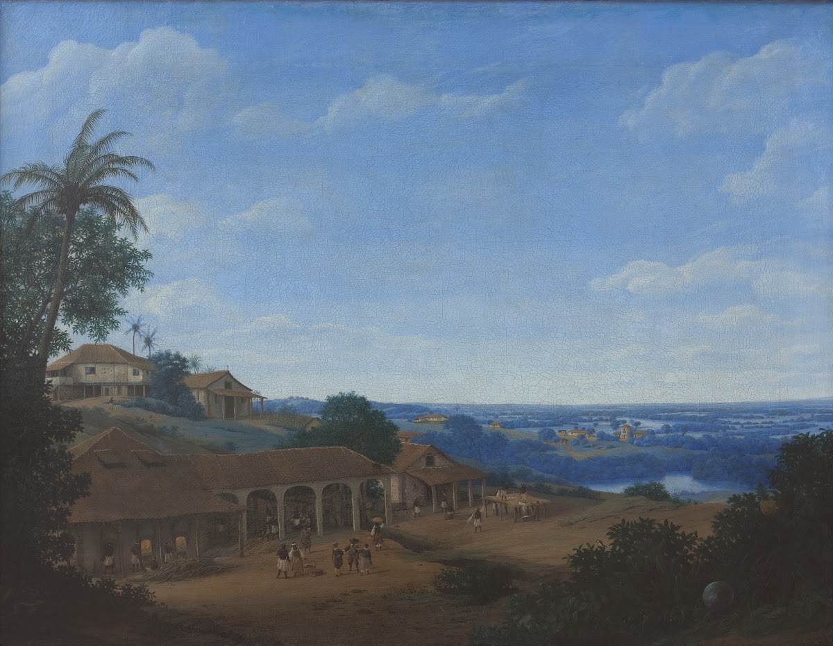 Landscape in Brazil with Sugar Plantation 1660