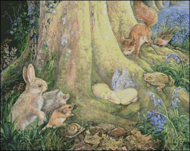 CMP 220434 Woodland Wonder