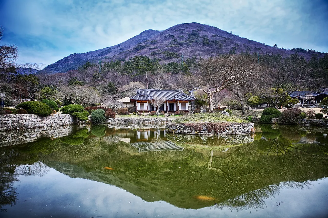 섹션 1 이미지