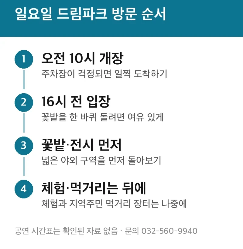 일요일 드림파크 방문 순서