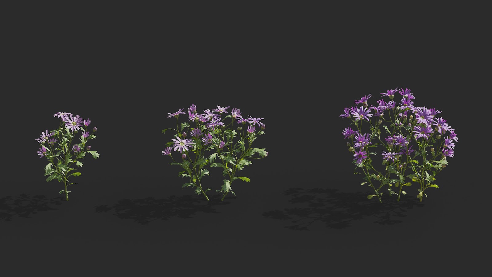 Maxtree - Plant Models Vol.64