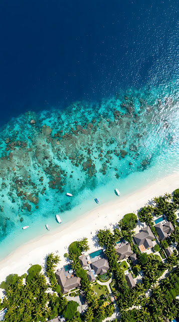 Aerial Drone View of Pristine Tropical Shoreline and Coral Reef - Free mobile Wallpaper